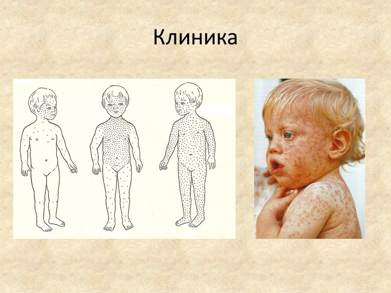 Клиника